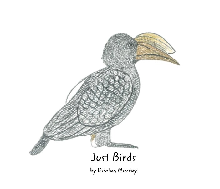 Visualizza Just Birds di Declan Murray