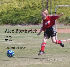 Alex Borthwick #2 book cover