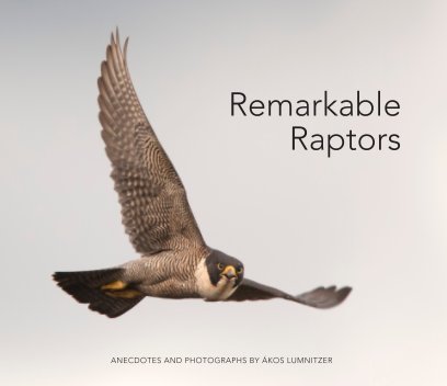 Remarkable Raptors - Hardcover LRG book cover