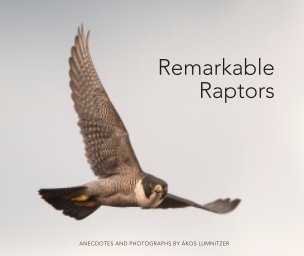 Remarkable Raptors - Paperback SML book cover