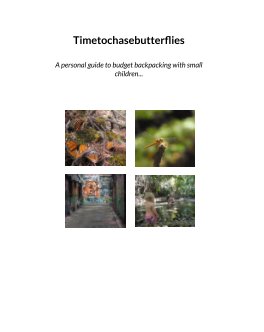 Time to chase butterflies book cover