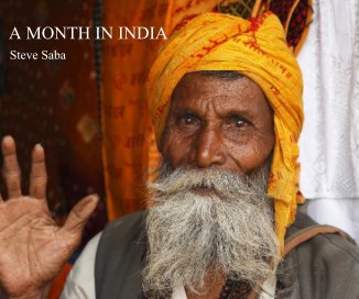 A MONTH IN INDIA book cover