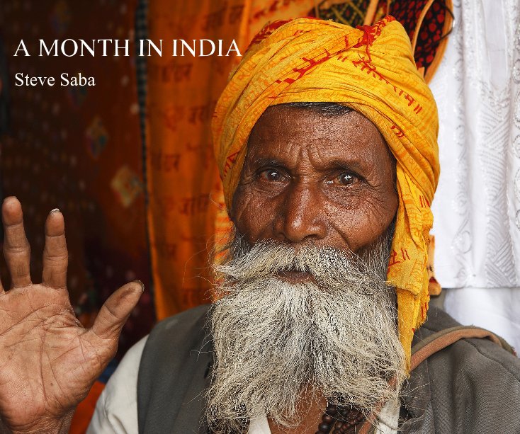 View A MONTH IN INDIA by Steve Saba
