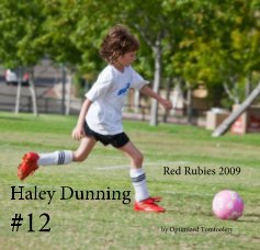 Haley Dunning #12 book cover