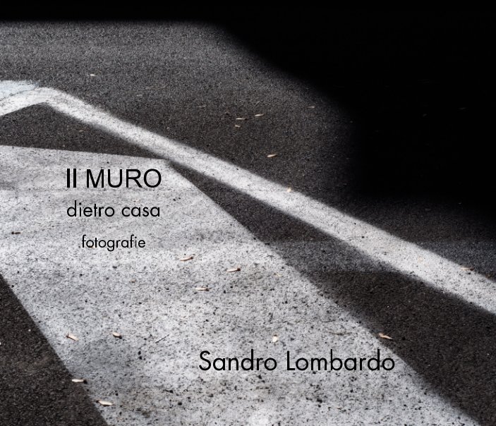 Visualizza Il MURO di Sandro Lombardo
