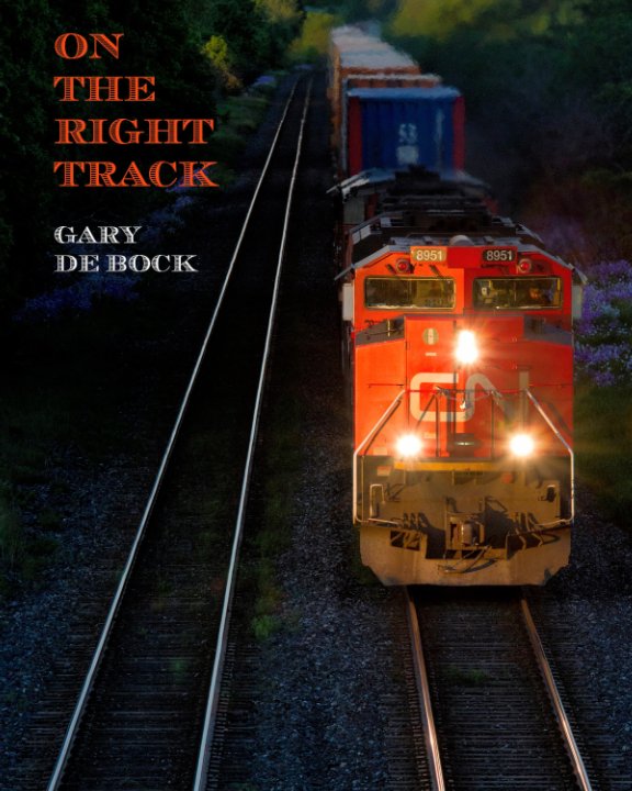 View On the Right Track by Gary De Bock