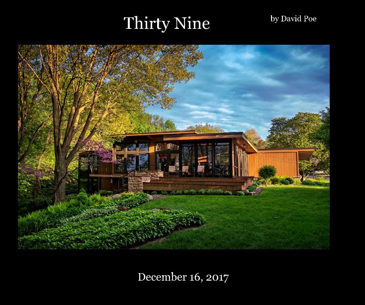 View Thirty Nine by David Poe