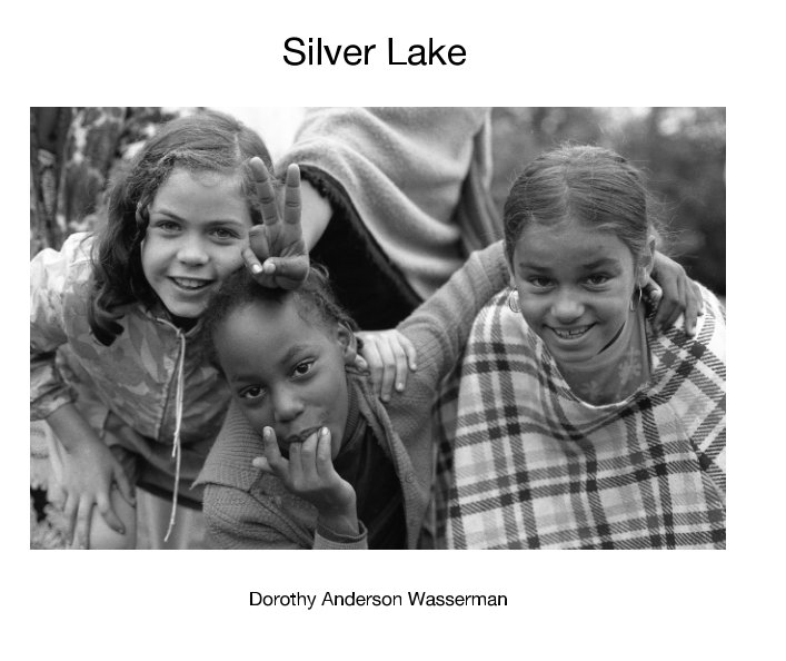 View Silver Lake by Dorothy Anderson Wasserman