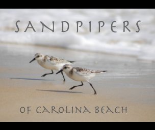Sandpipers of Carolina Beach book cover