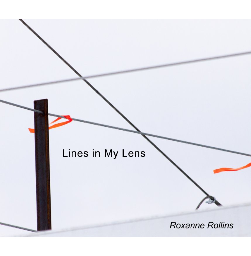 View Lines In My Lens by Roxanne Rollins