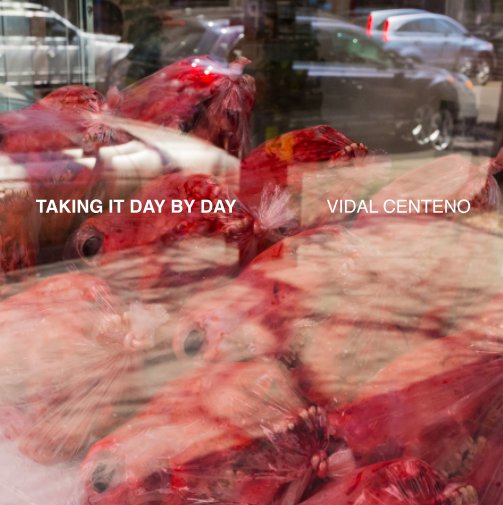 Visualizza Taking It Day by Day di Vidal Centeno
