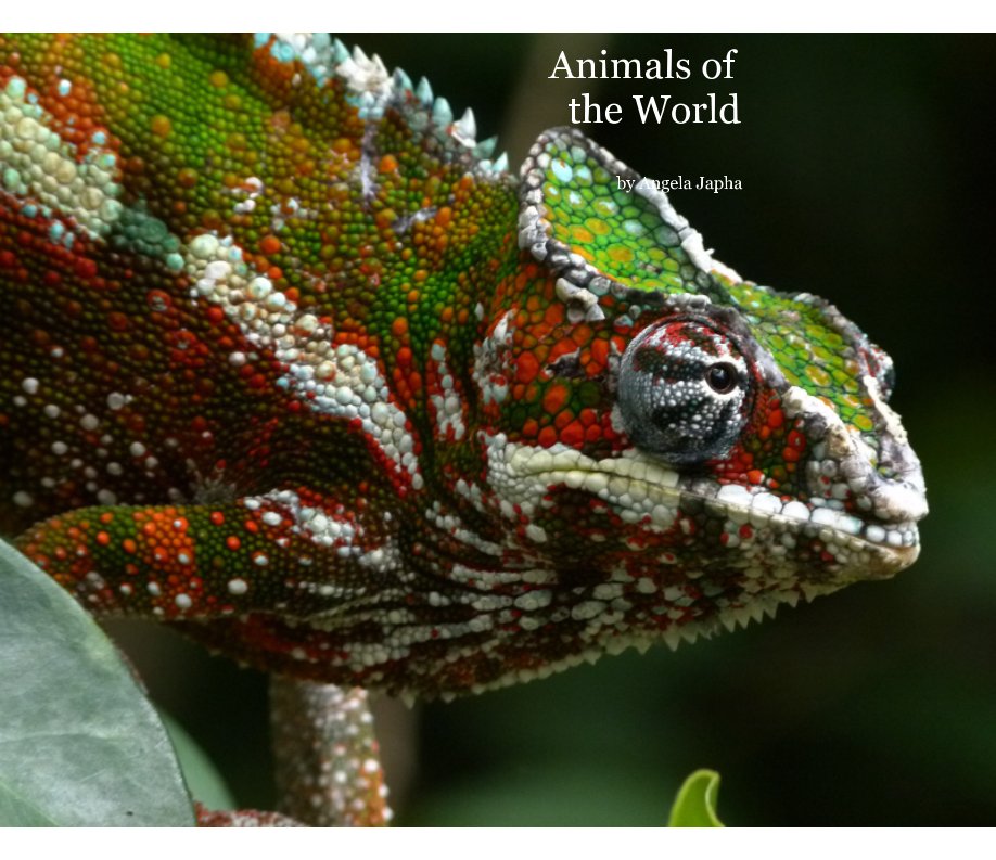 View Animals of the World by Angela Japha