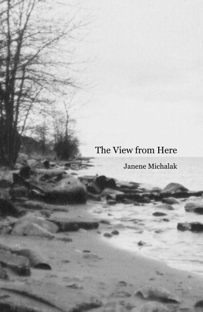 Ver The View from Here por Janene Michalak