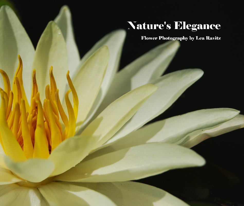 View Nature's Elegance by Lea Ravitz