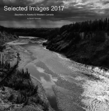 Selected Images 2017 book cover