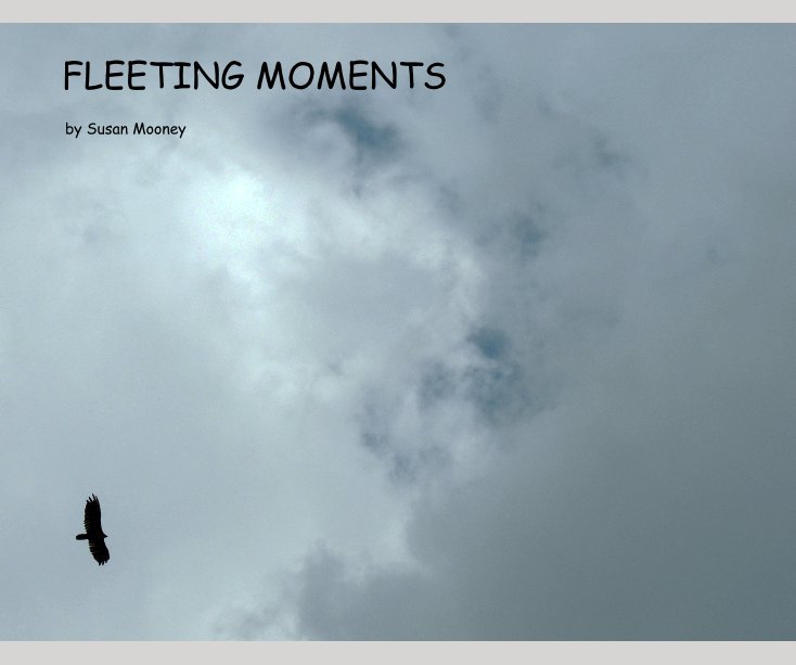 View FLEETING MOMENTS by Susan Mooney