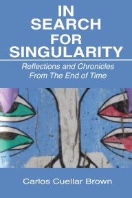 In Search For Singularity book cover