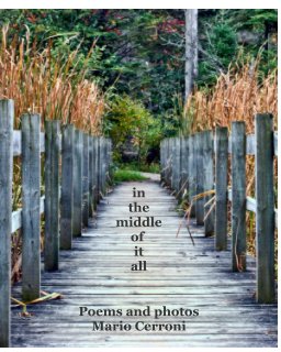 in the middle of it all book cover