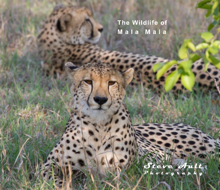 View The Wildlife of Mala Mala by Steve Ault