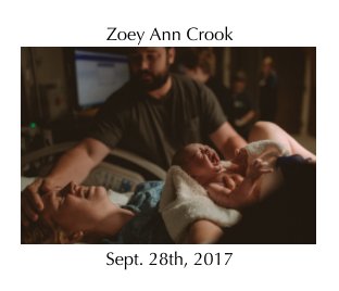 Zoey Ann Crook book cover