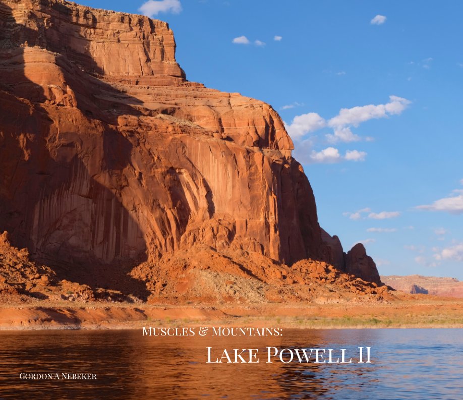 View Muscles & Mountains: Lake Powell II by Gordon Nebeker