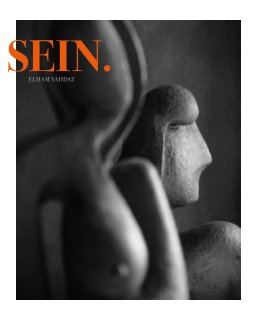SEIN. book cover