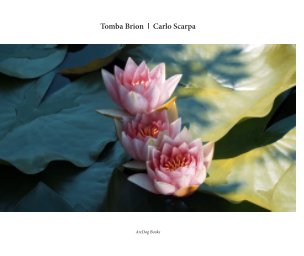 Tomba Brion I Carlo Scarpa (Colourful) book cover