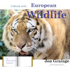 A Brush with European Wildlife book cover