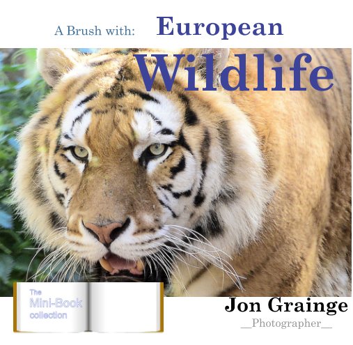 View A Brush with European Wildlife by Jon Grainge