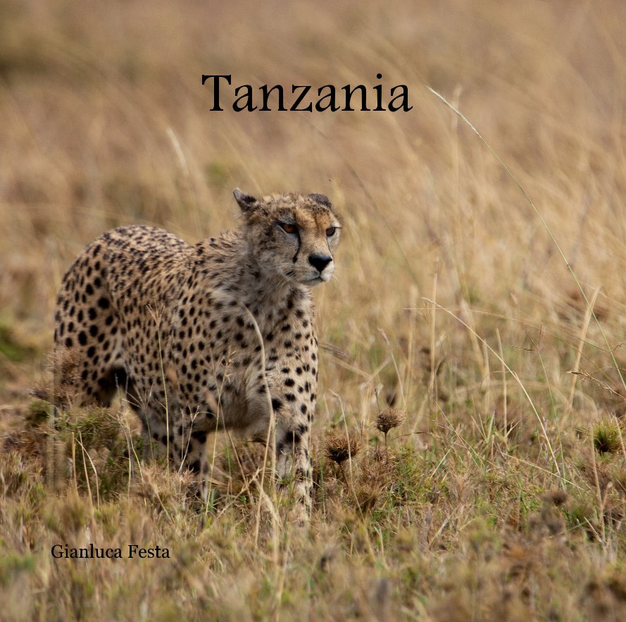 View Tanzania by Gianluca Festa