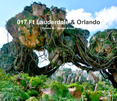017 Fort Lauderdale and Orlando book cover