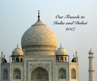 Our Travels to India and Dubai 2017 book cover