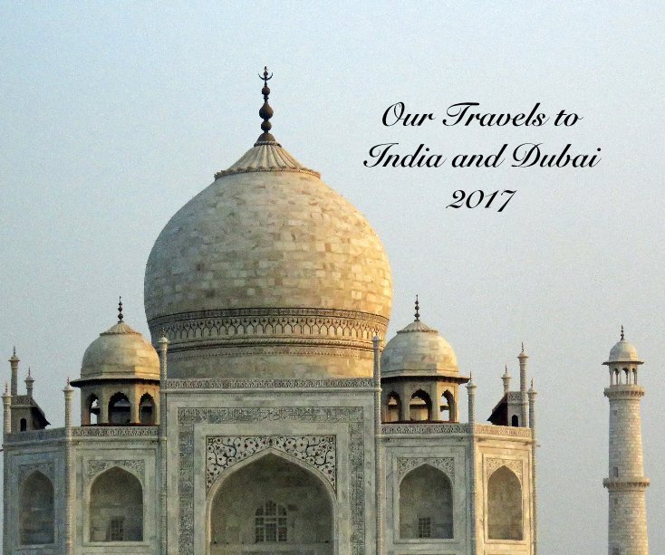 Ver Our Travels to India and Dubai 2017 por Wendy Stephenson