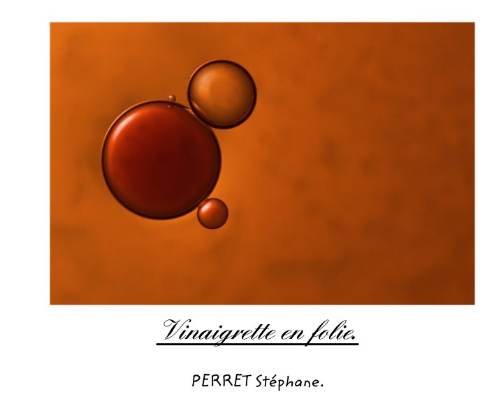 Ver Vinaigrette en folie. por PERRET Stéphane.