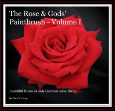 The Rose & Gods' Paintbrush - Volume I book cover