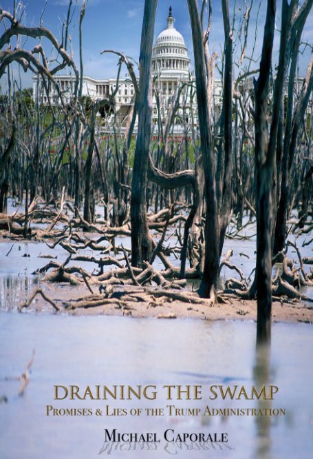 Bekijk Draining the Swamp op Michael Caporale