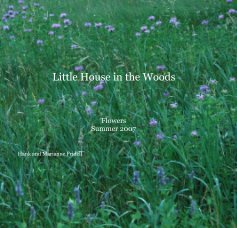 Little House in the Woods book cover