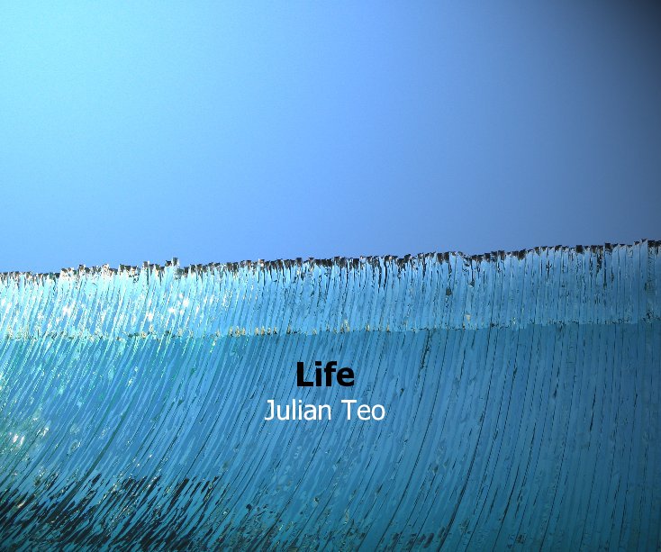 View Life by Julian Teo