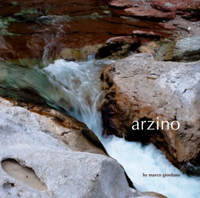arzino book cover