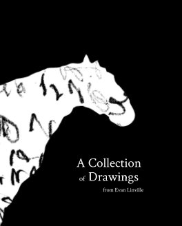 A Collection of Drawings book cover