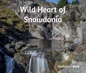 Wild Heart of Snowdonia book cover