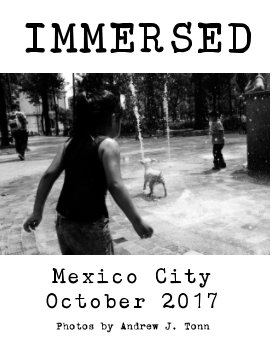 Immersed: Mexico City 2017 book cover