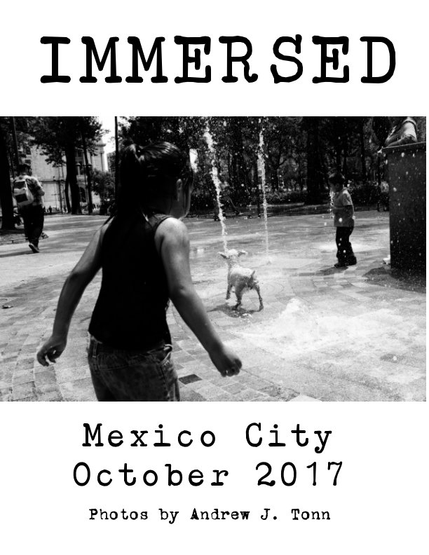 View Immersed: Mexico City 2017 by Andrew J. Tonn