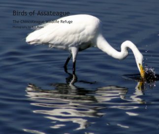 Birds of Assateague book cover