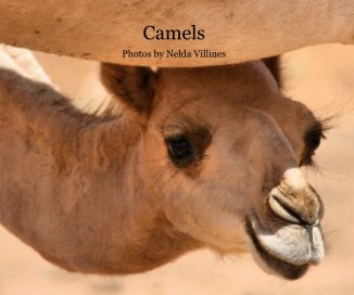 Camels book cover