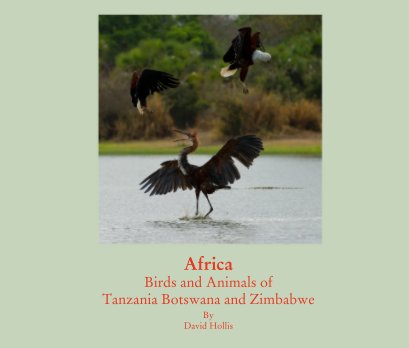 Africa Birds and Animals of Tanzania Botswana and Zimbabwe book cover