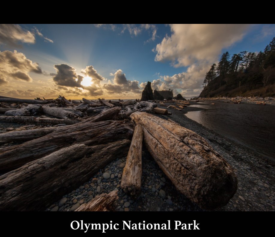 View Olympic National Park by Brian Davis