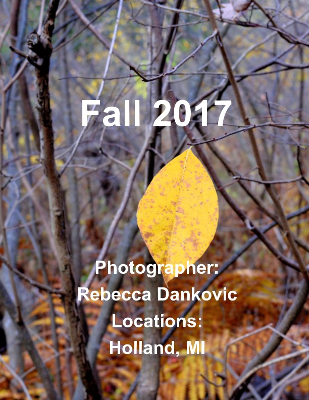 View Fall 2017 by Rebecca Dankovic
