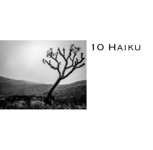 Visualizza 10 Haiku di Manten|Photography
