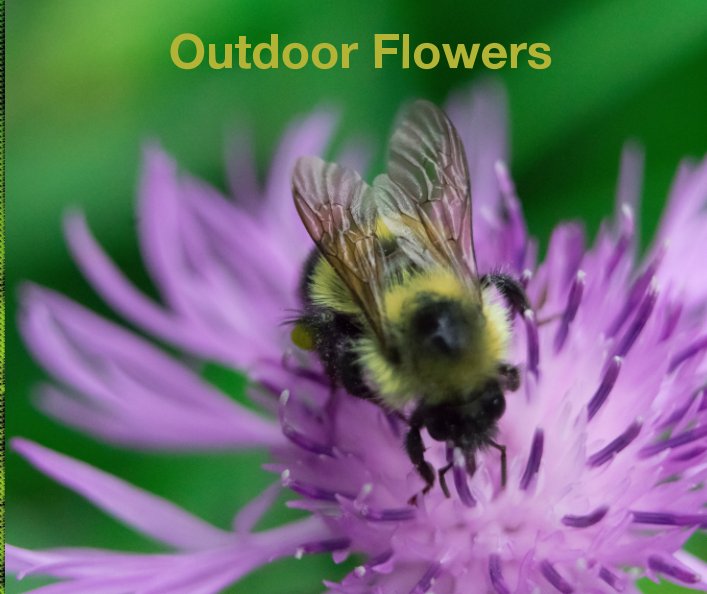 Bekijk The Beauty of Outdoor Flowers op Alison Pacut